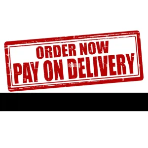 Mosquito-killer-with-power-bank-1